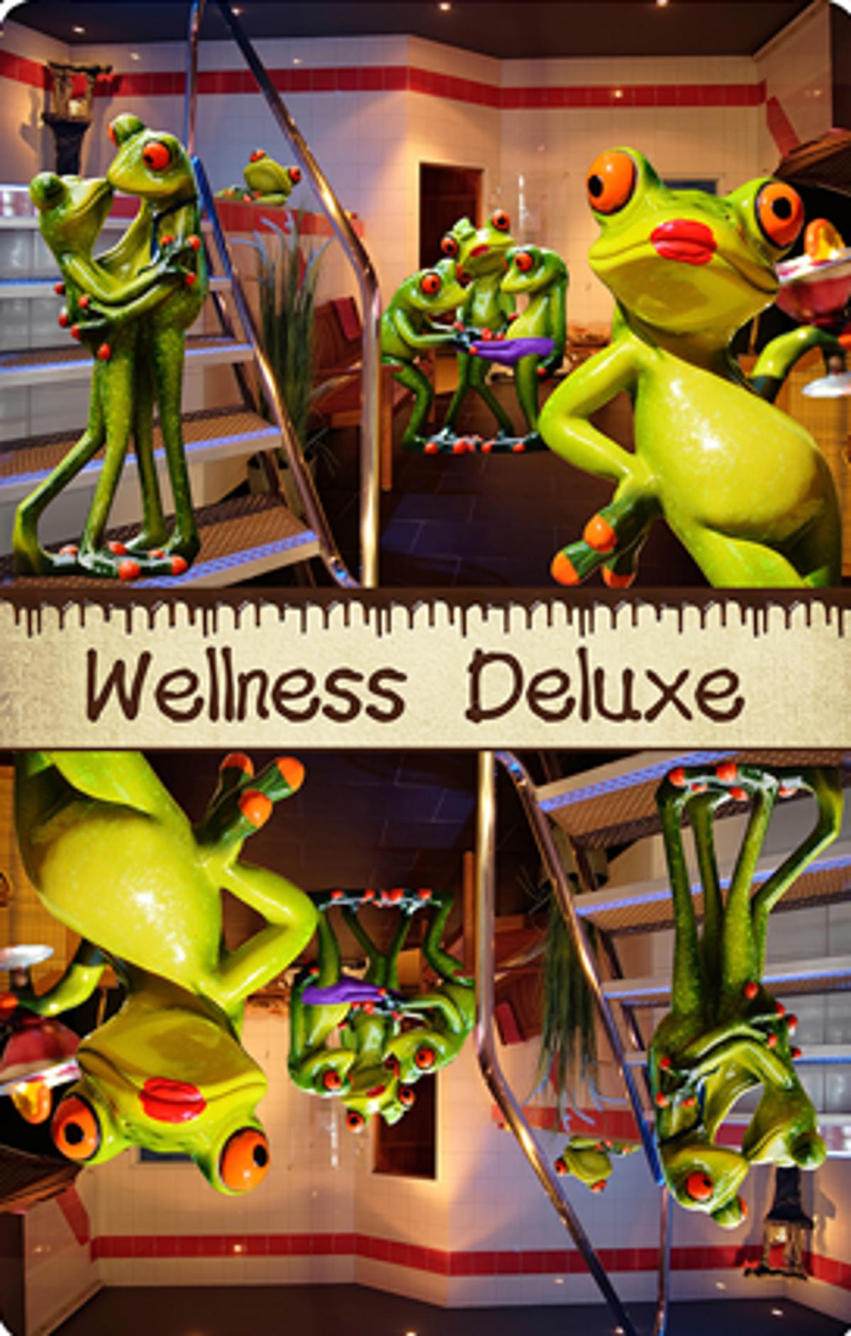 Wellness Deluxe event photo